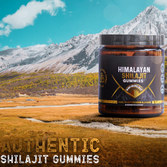 Shilajit PLUS: Gummies